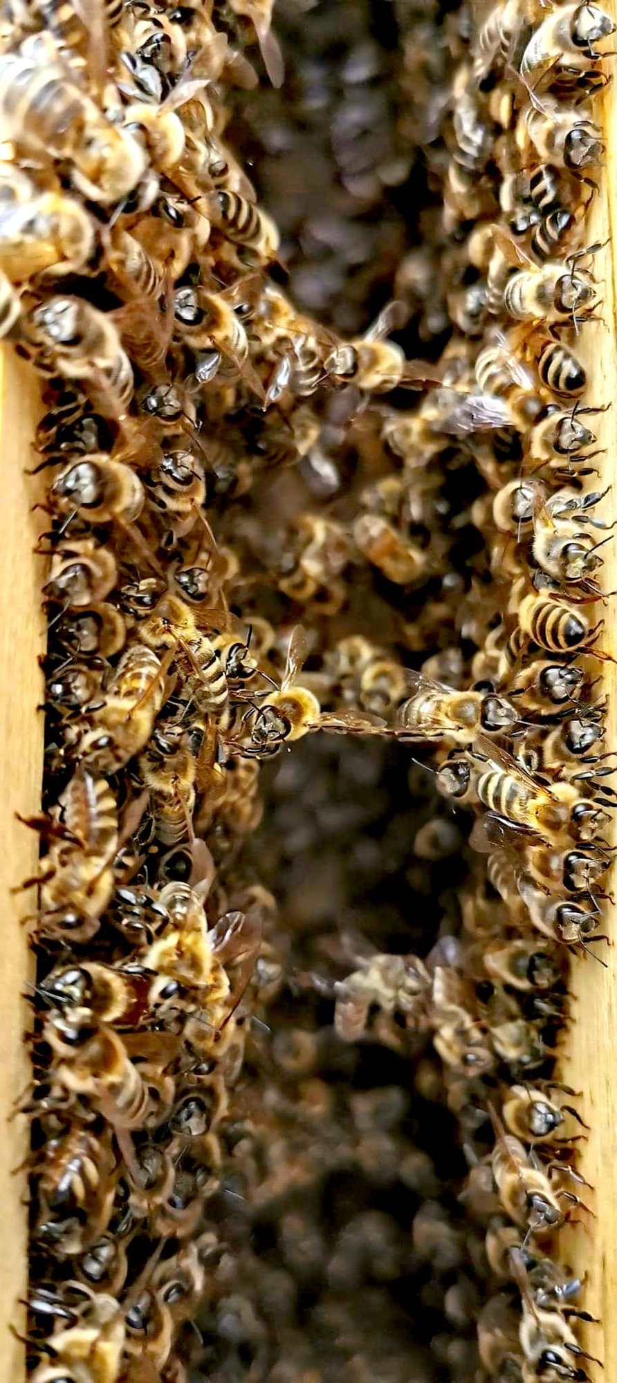 348576275_104190976025215_8540006801979385050_n