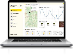 WebApp Noehmi