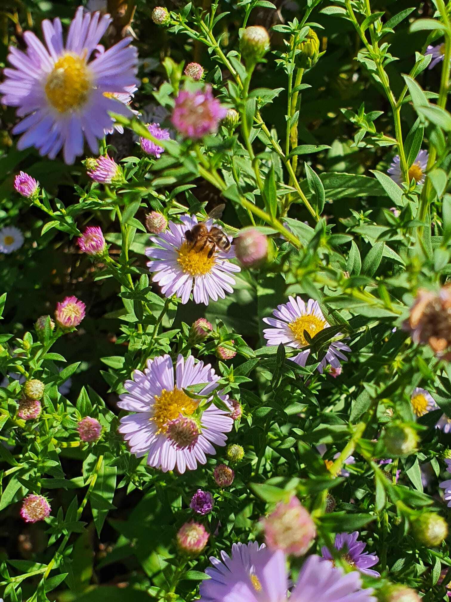 WhatsApp Image 2023-09-25 at 15.14.08 (3)