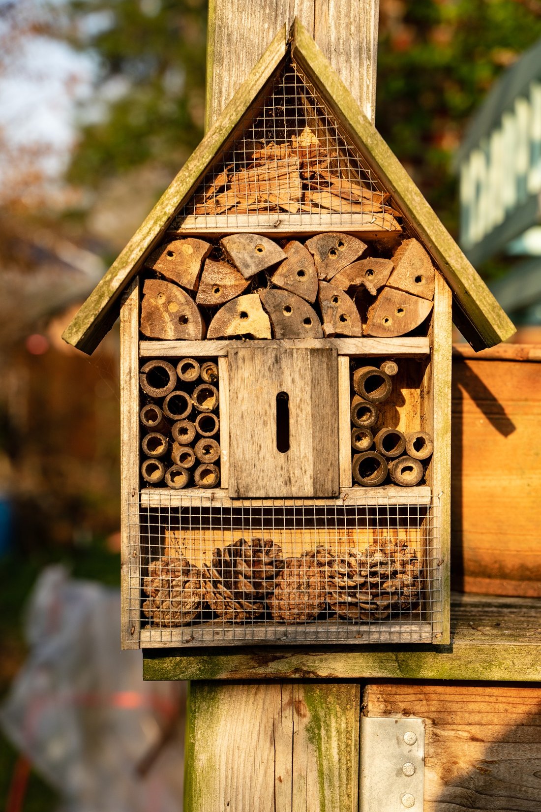 insect-hotel-4110513_1920