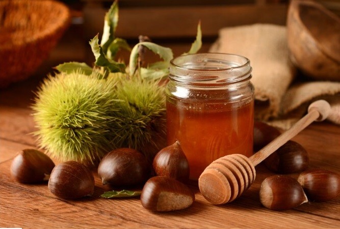 miel-de-chataignier-bienfaits-1